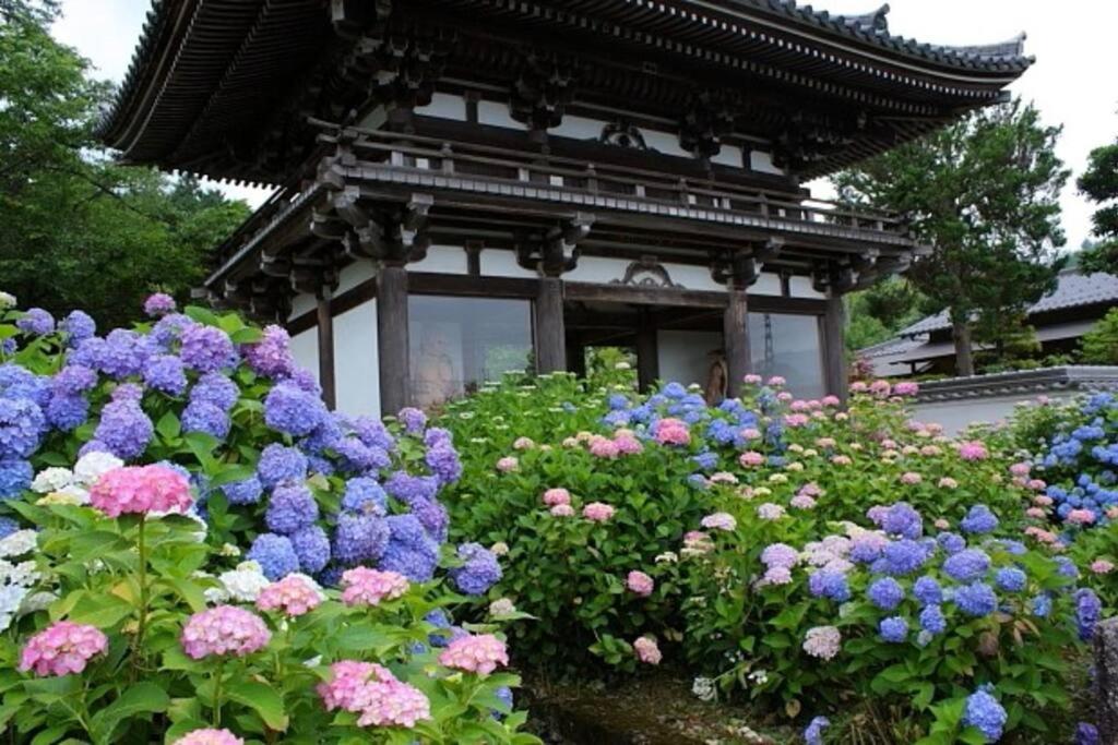 Sanzen Ya Kyoto さんぜんやきょうと- Cozy Art Space For Lover Of Travel - Exterior photo