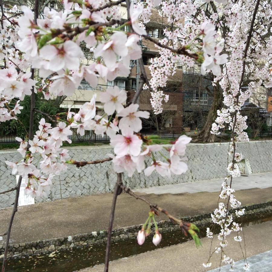 Sanzen Ya Kyoto さんぜんやきょうと- Cozy Art Space For Lover Of Travel - Exterior photo