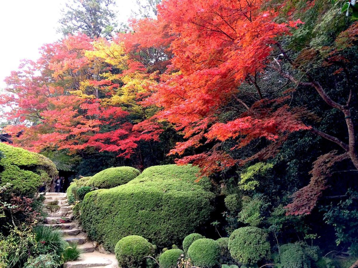 Sanzen Ya Kyoto さんぜんやきょうと- Cozy Art Space For Lover Of Travel - Exterior photo