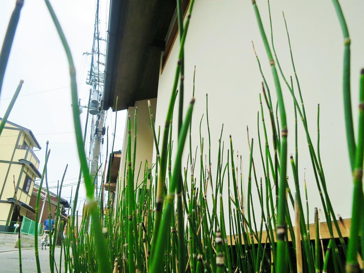 Sanzen Ya Kyoto さんぜんやきょうと- Cozy Art Space For Lover Of Travel - Exterior photo